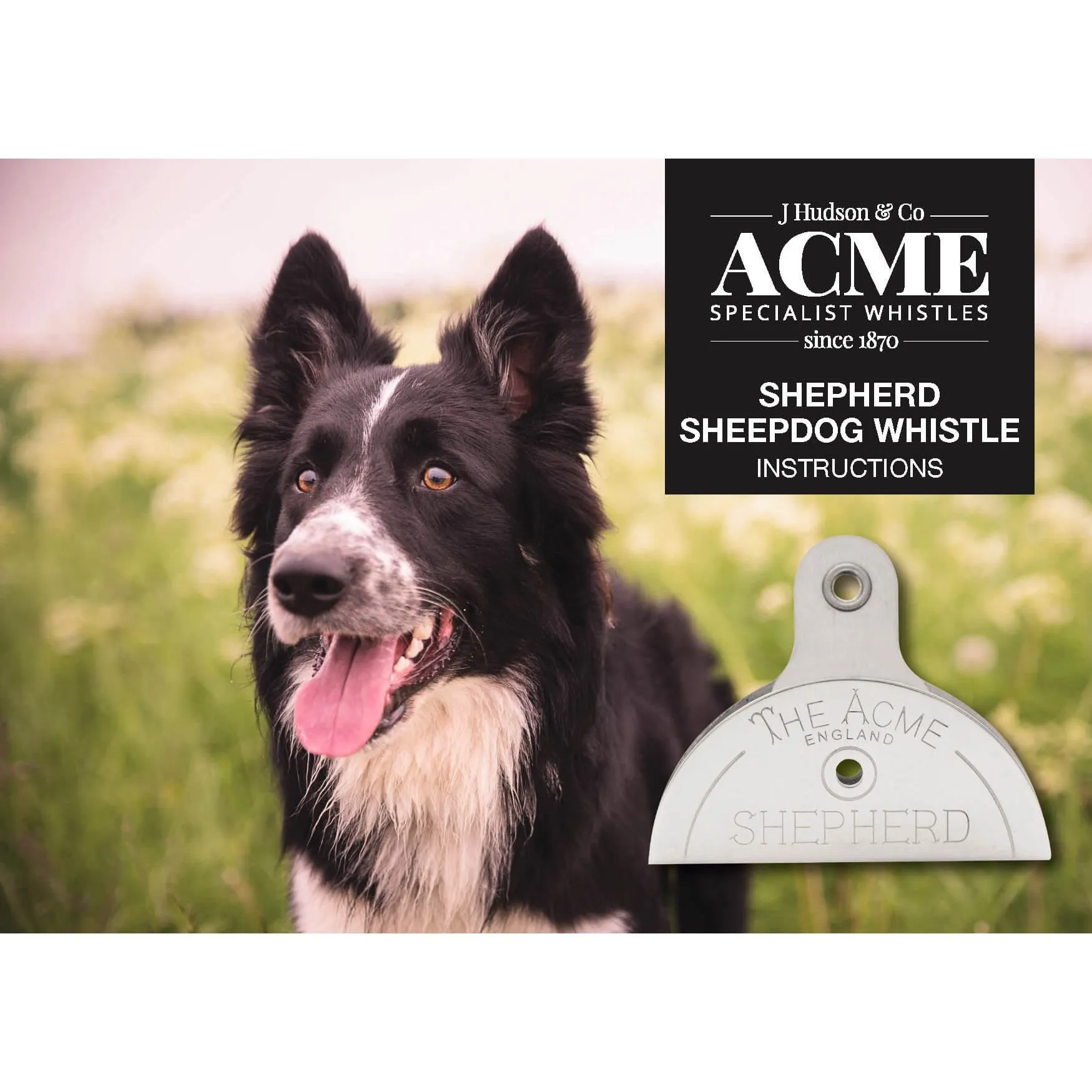 A3173      ~ ACME SHEPHERDS WHISTLE 576 BLK