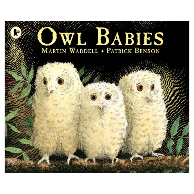 Owl Babies